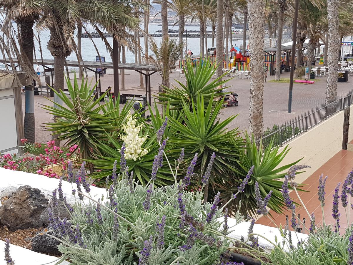 Vila Lavanda Playa de las Americas  Zewnętrze zdjęcie