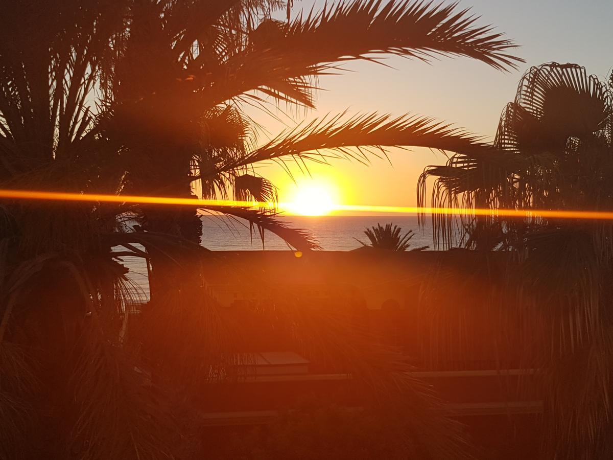 Vila Lavanda Playa de las Americas  Zewnętrze zdjęcie